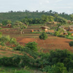 CAPA (Malawi)