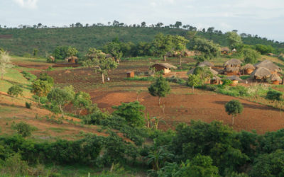 CAPA (Malawi)